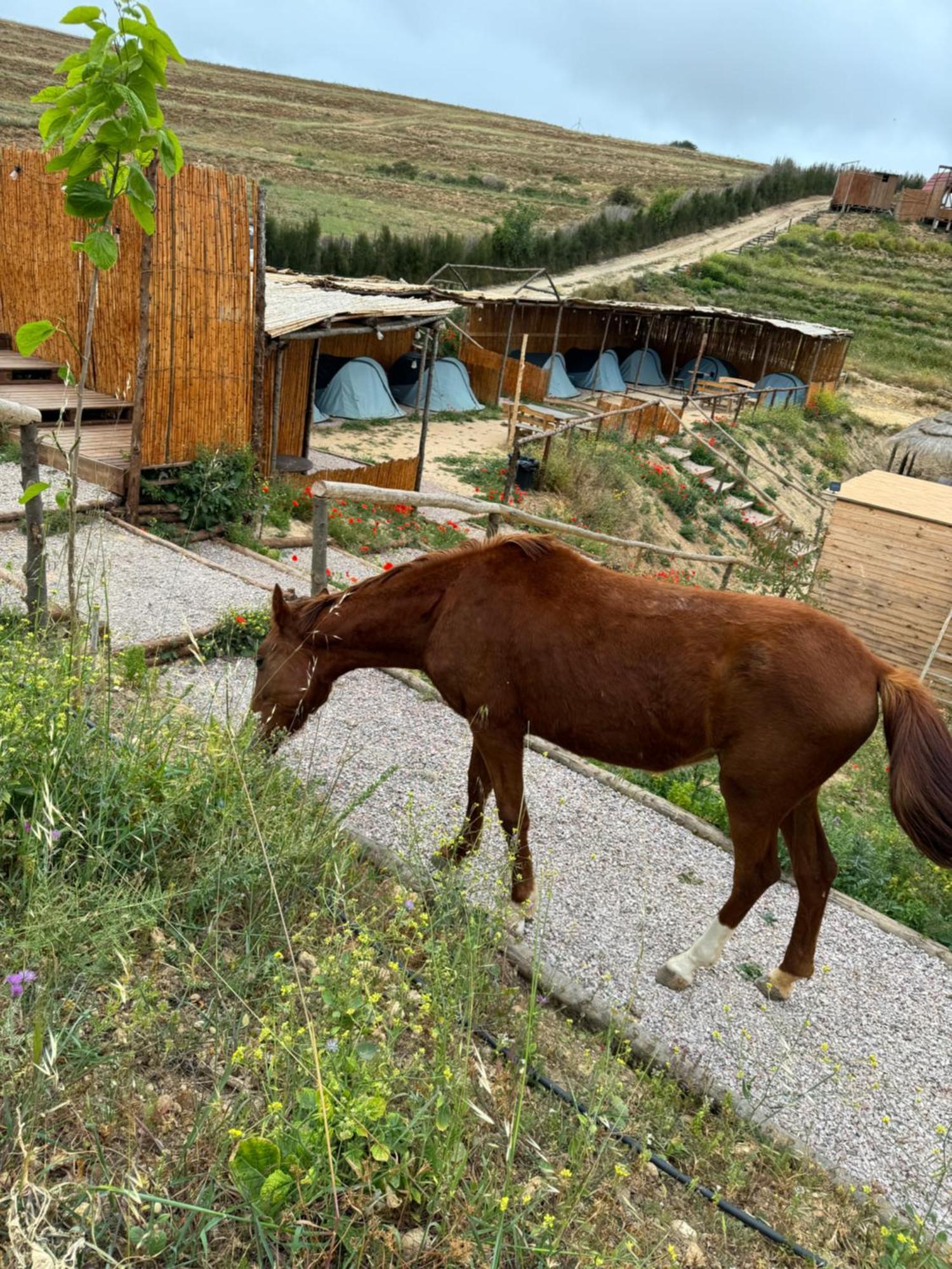 Ghar El Melh Outdoors Hotel Ra's al Jabal Екстериор снимка