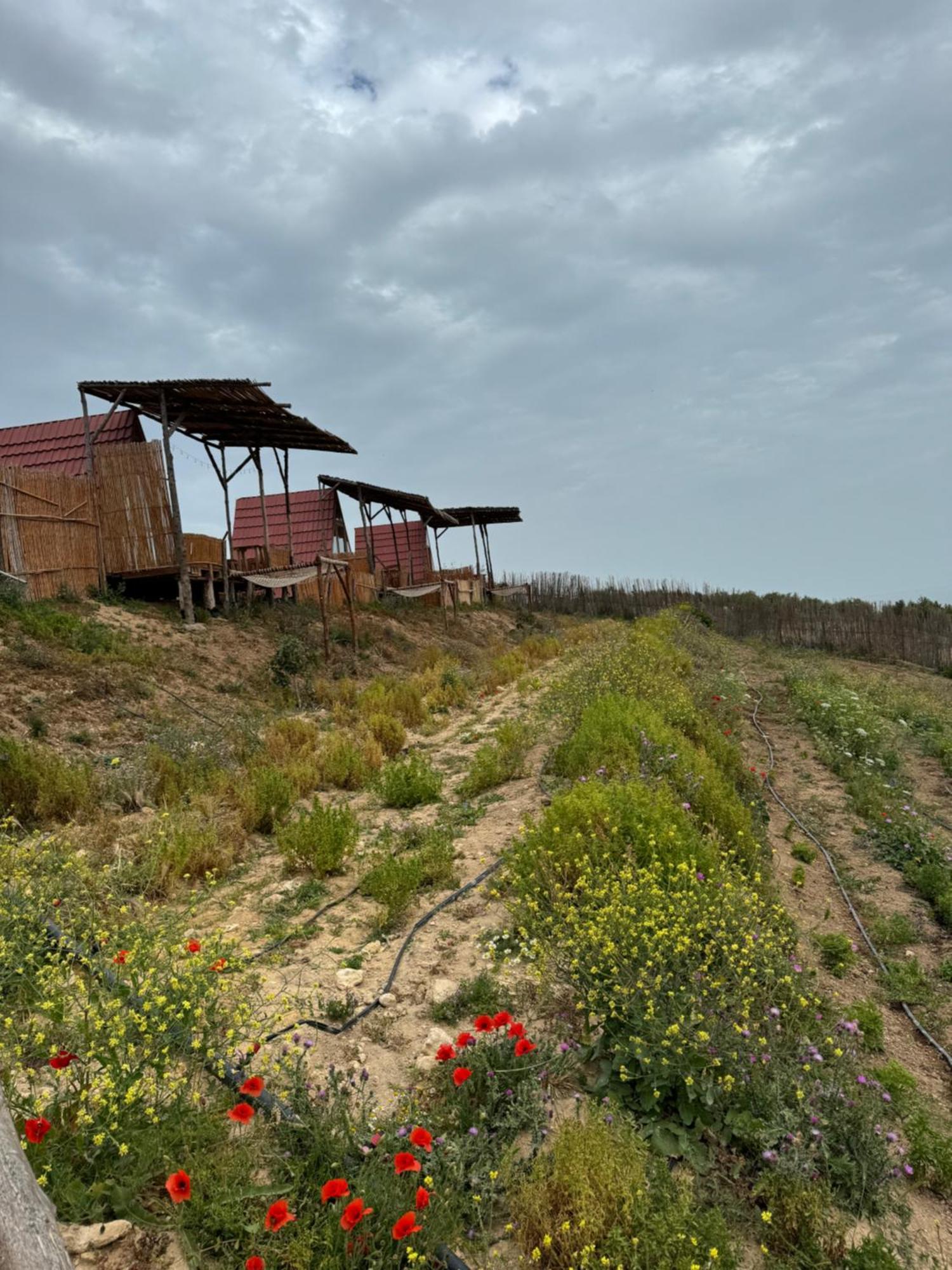 Ghar El Melh Outdoors Hotel Ra's al Jabal Екстериор снимка